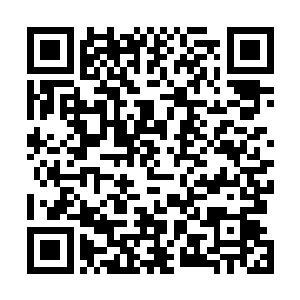 我躲在他家附近的草丛里用夜视仪监视着他们呢想瞒过我二维码生成