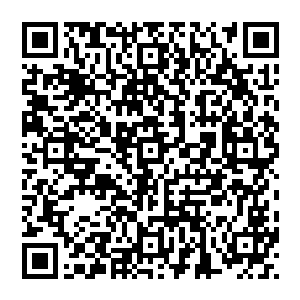 我转眼打量他这位少宗主修为很高在顶尖半帝并且腰间挂着十几只布囊里面都是顶级的灵兽輸入網址二维码生成