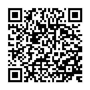 我还一头堪塔斯也没见过呢……堪塔斯可不是那么容易见到的二维码生成
