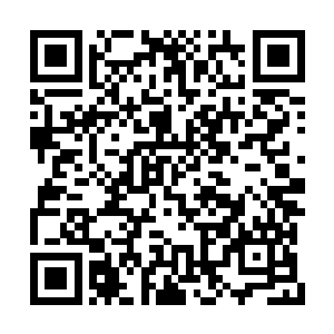 我还无法完全看清铜棺内是否真的有破碎的仙界二维码生成