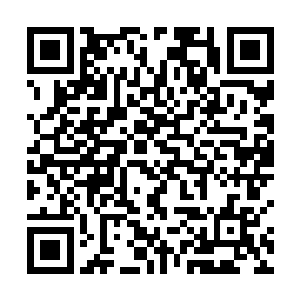 我还真依样画葫芦地把他昨晚的话语还有动作学了一遍二维码生成