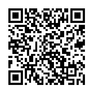我这两位师兄也会加入你们巨石堂为你们巨石堂卖命二维码生成