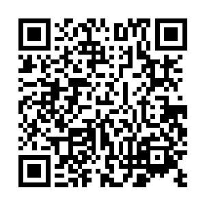 我这双腿早在百年前在探索遗迹之时中了一种狠毒的诅咒二维码生成