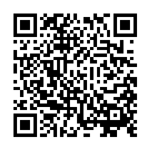 我这次亦幻亦真的修炼就算修成了一点点微不足道的正果二维码生成