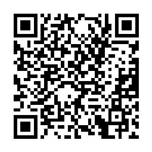 我这点点疼比起前线战士经受的痛苦又算得了什么二维码生成