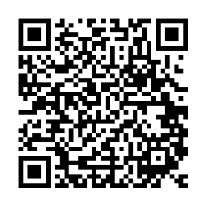 我这里已经寻到了证据……只有五皇子才是正统的皇室血脉……二维码生成