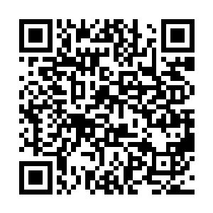 我速度和咕仔再配合着利用双珠合并效力去袭击妖王二维码生成