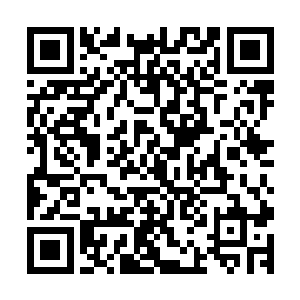 我都迫不及待的想要和你进行一段令人沉醉和迷恋的生活了呢二维码生成