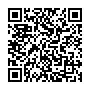 我隐隐觉得曲歌故意在孙默默面前表现出自己如今生活的惬意二维码生成