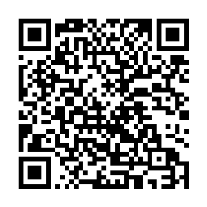 我需要大概十秒左右的时间从树林里迂回绕到他们后面二维码生成