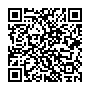 我霸天虎一族可将一双巨爪炼制成为堪比灵器的存在二维码生成