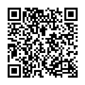 或在里世界内相互接触……可里世界人人相互提防二维码生成