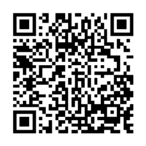 或者你可以把你的族人全部送回你们的部落后再回来找我也可二维码生成