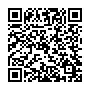 或者你觉得他们两个会不会就这样相依相偎凑合着过二维码生成