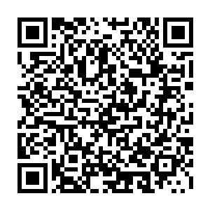 或者再稍微多一点的人能考上大学――这已经是赵丹年设想的最好情况了二维码生成