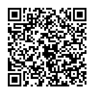 或者凭借强大的功法或者凭借强大的法宝能够跟天尊高手周旋抗衡一下二维码生成