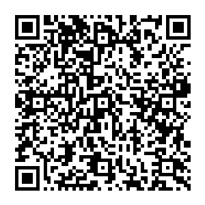 或者对于地理位置特别了解跟敏感的人可以分辨出某个地球上的黑点大概便是他们乘坐天梯时经过的岛屿二维码生成