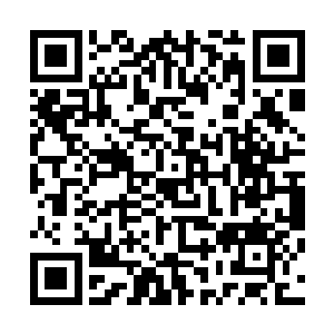 或者带来爬行类动物色彩与特征的宗教图腾几乎占据了大半二维码生成