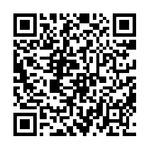 或者干脆就已经会毁掉了……就刚刚换装的这几分钟时间二维码生成