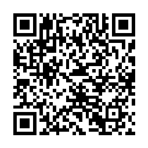 或者是有人不愿意让路德维希和他带的弯刀小组专美于前二维码生成