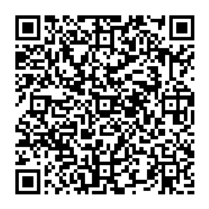 或许…再给些时间他…此人真的能够成为汉高祖一般的人物…如此一来…我也说不定能够成为第二个陈国相二维码生成