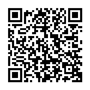 或许可能都会把人给弄丢了……没有了其他的黑水玄蛇的威胁二维码生成