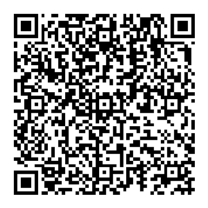 或许她们这些连男人都碰过的女孩永远也无法体会到一个母亲眼睁睁看着自己还未抱过的孩子亲眼消失在眼前的痛苦二维码生成