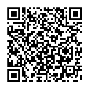 或许我们真的不该去主动招惹天国的……也该跟天国第一人通通话了……二维码生成