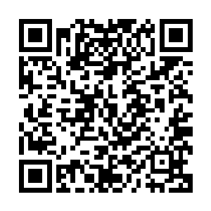 或许我们能够领悟出属于我们自己特性的震动奥妙类圣域绝学二维码生成