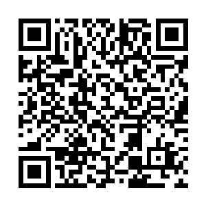 或许是某个组织为了瞒人耳目而建立起来的秘密基地二维码生成