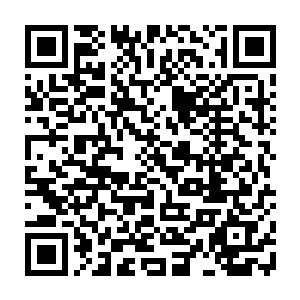 或许更加贴切一些……至少已经有四个以上的教廷至尊境强者死在我的手上了二维码生成