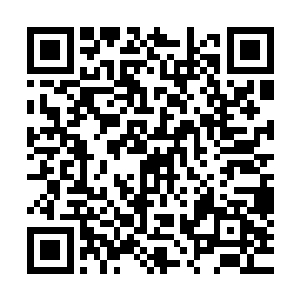 或许正因为大家都认为这是王世子不满华夏顶研之前的那些话二维码生成