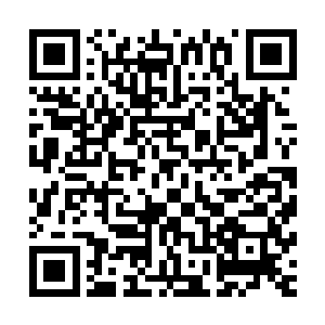 或许真个交易市场数以万计的翡翠毛料可以有这样的一个机会二维码生成