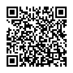 或许秦方的两件天蚕丝甲都未必可以抵挡得住三眼蝰蛇的进攻二维码生成