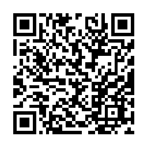 或许里面还潜入着什么无比强大的生物也不一定的二维码生成