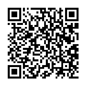 或许韩风真的能够在短时间内将圣域绝学修炼成功也不一定二维码生成
