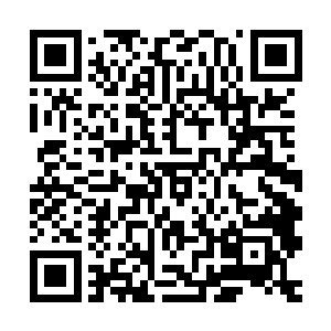 战友们啊极品已经快被打压的掉下前十了如果战友们手中还有票二维码生成