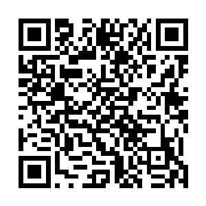 战场上的局势几乎也彻底被掌控在了楚旬等人的掌心之中二维码生成