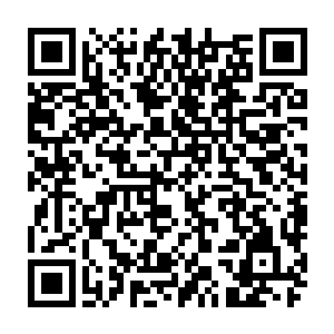 战场上那因为剧烈能量冲击而战死的强者尸体也仿佛是受到了那阴气的影响一样二维码生成