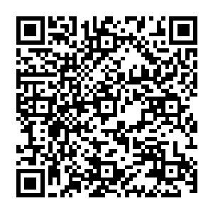 戴着手套的双手用了铁血神拳的一式凶猛的撼天炮毫无花俏的硬生生的把那一击接了下来二维码生成