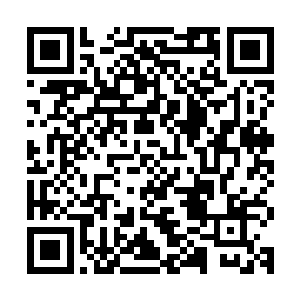 所以……每一件皇境神兵实际上都是皇境强者用自身孕育出来的二维码生成