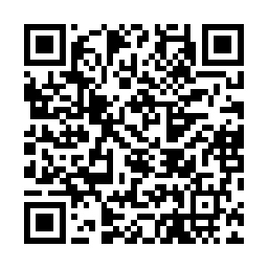 所以……虽然自己并没有明确的给主人提任何意见和建议二维码生成
