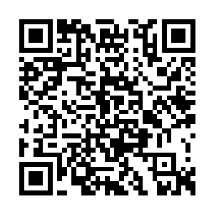 所以一群家鬼得以跟苍蝇一样围着他骚扰和攻击二维码生成