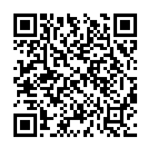 所以丁二狗一进门就看到了咖啡厅角落里的吴雨辰二维码生成