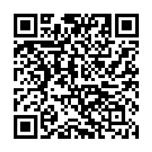所以不用求我原谅你……我以后出现在学校里的时间二维码生成
