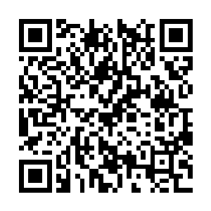 所以两人也根本没有想过杨晨会将这母令牌给两人二维码生成