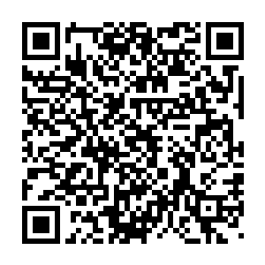 所以之前还在交锋的叛臣和死忠势力大能们现在都已经停止了战斗二维码生成