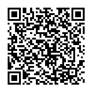 所以他们也就真的认为夏天是一个随随便便什么人都能欺负的人了二维码生成