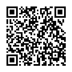所以他们完全有实力有时间去殖民其他剧情世界二维码生成