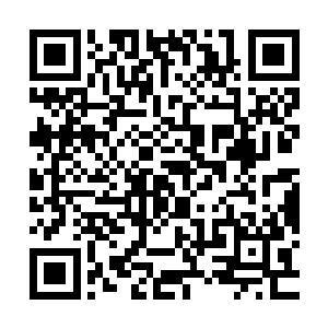 所以他们对于专辑发行第一天的热闹程度根本就没有做任何预设二维码生成